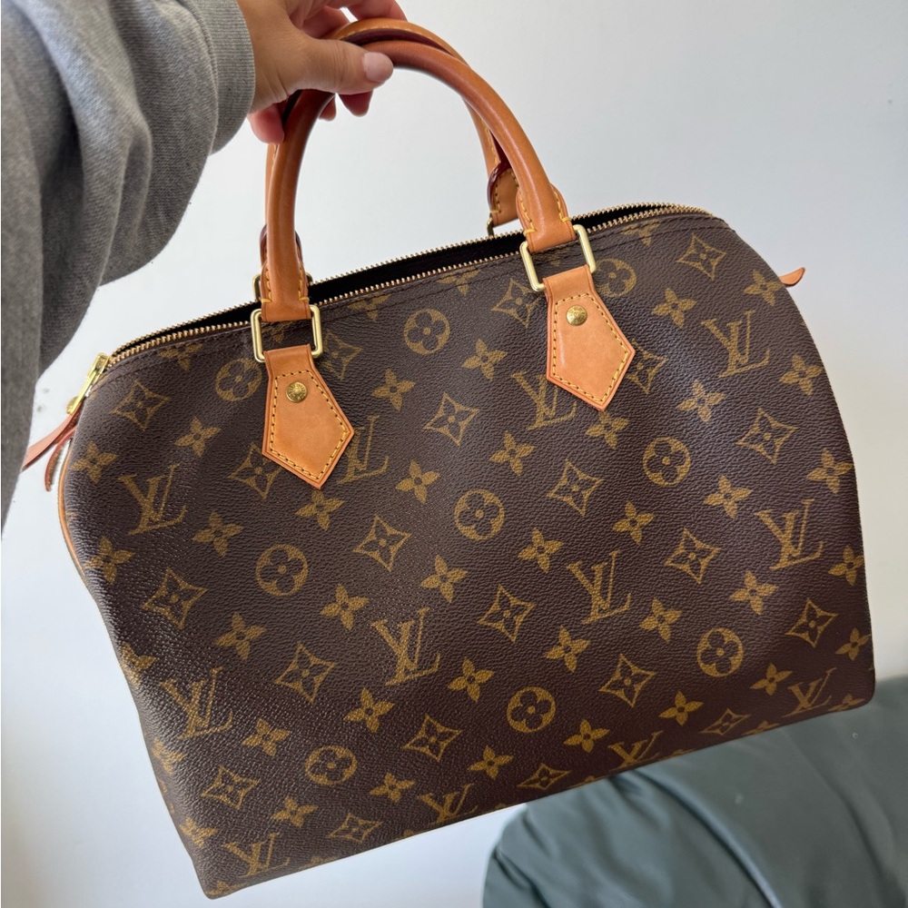 Louis Vuitton Speedy 30 Monogram Bag